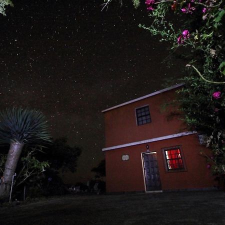 Bodega Goyo Apartment Puntallana Exterior foto
