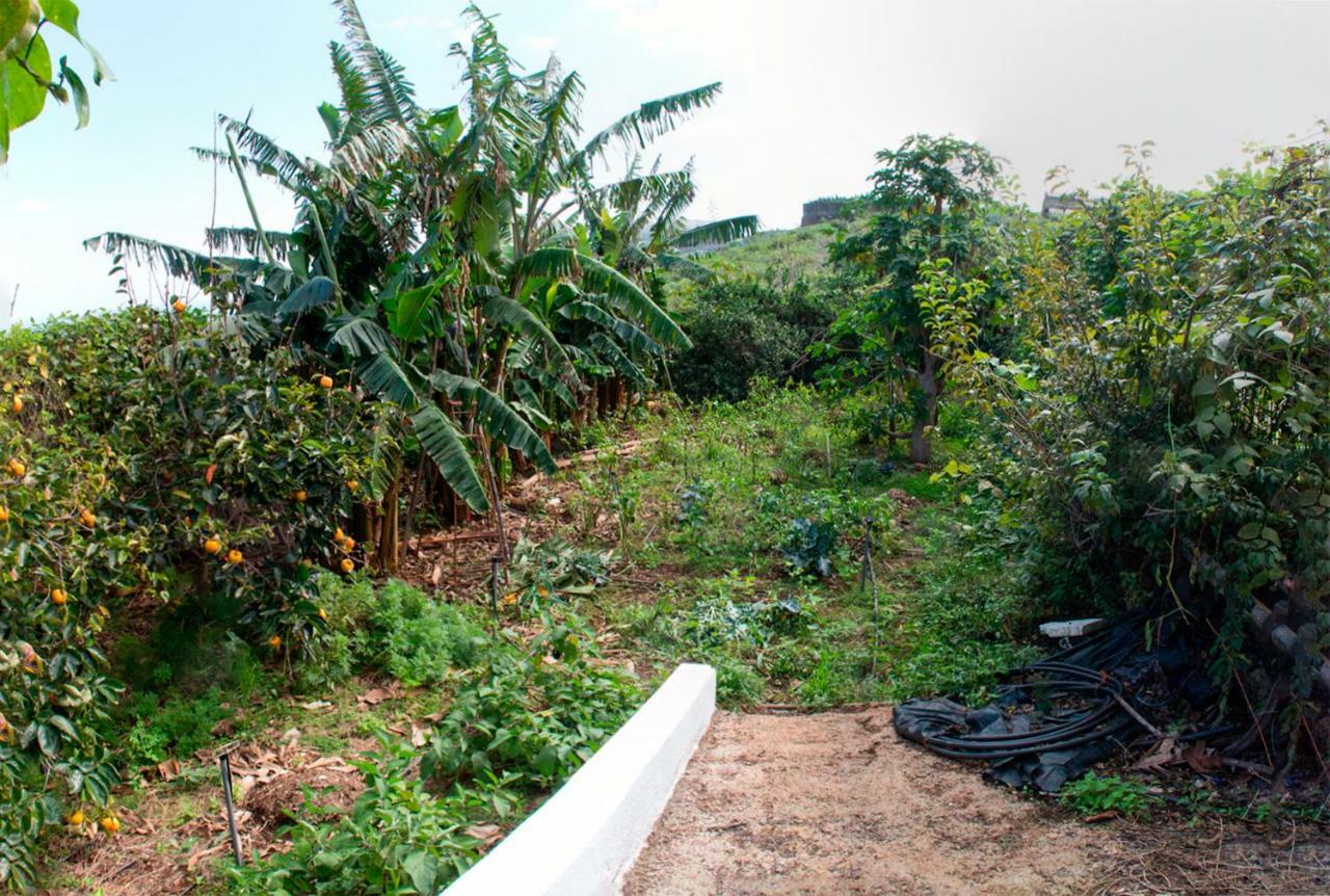 Bodega Goyo Apartment Puntallana Exterior foto